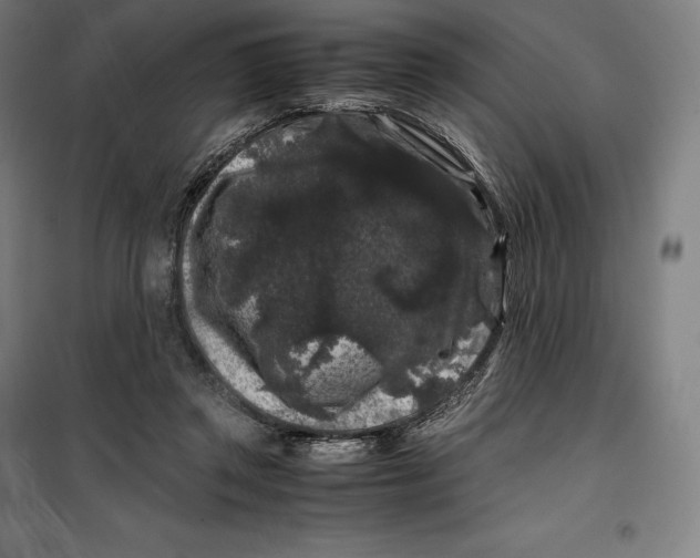 X0000099470357200805301601