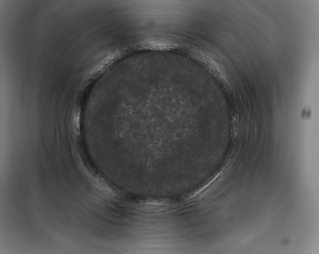 X0000099470358200805301601