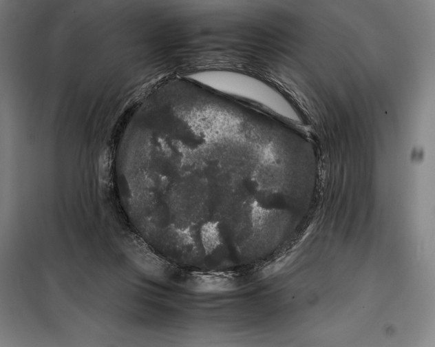 X0000099470359200805301601