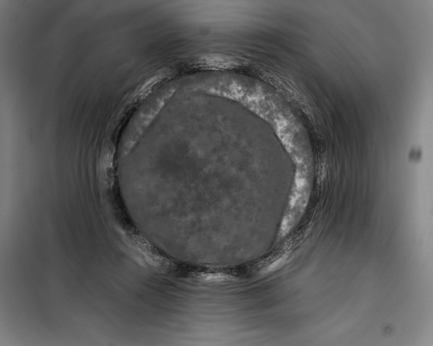 X0000099470360200805301601