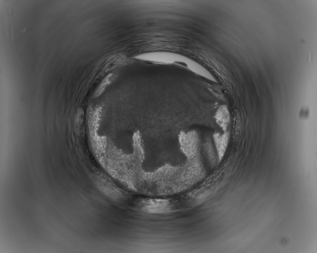 X0000099470361200805301601