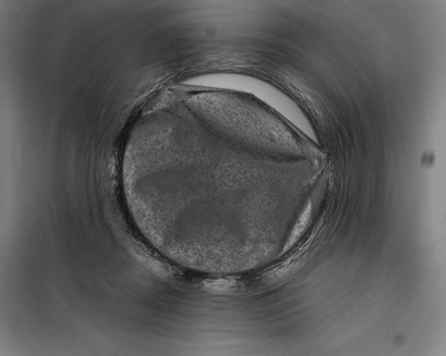 X0000099470362200805301601