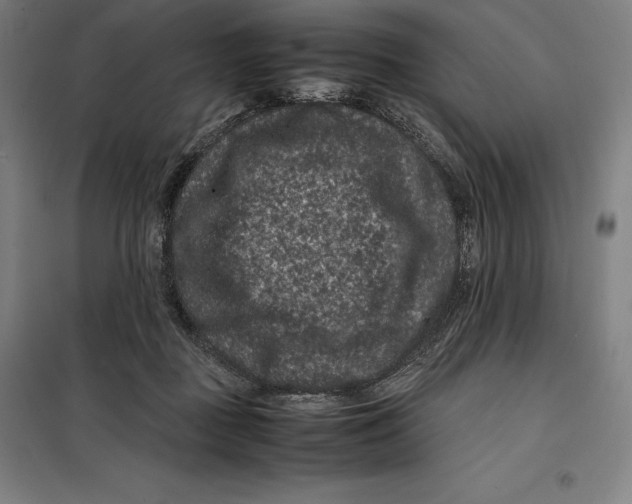 X0000099470363200805301601