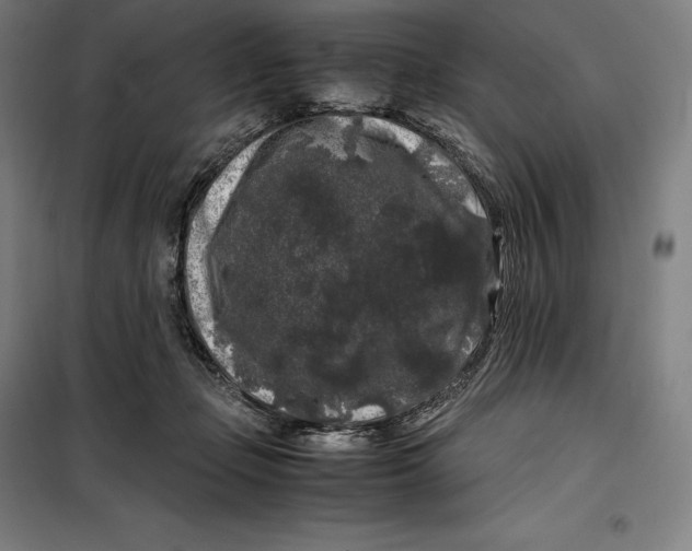 X0000099470365200805301601