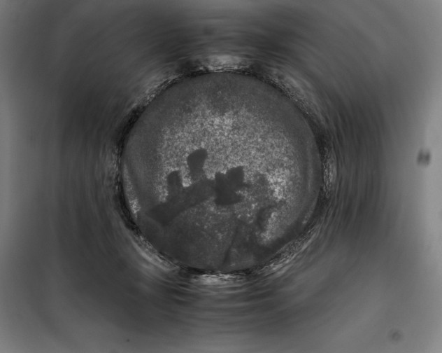 X0000099470367200805301601