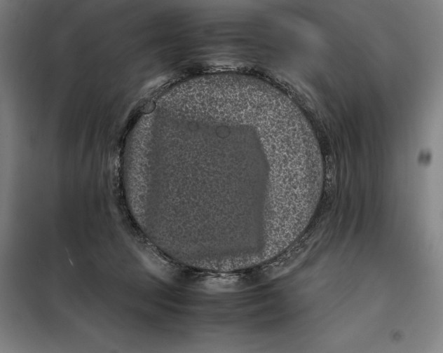 X0000099470369200805301601