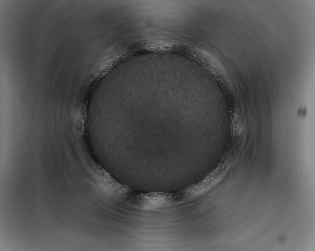 X0000099470370200805301601