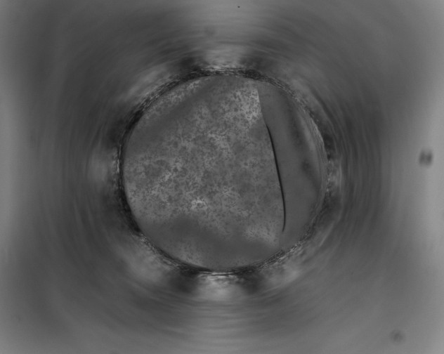 X0000099470372200805301601