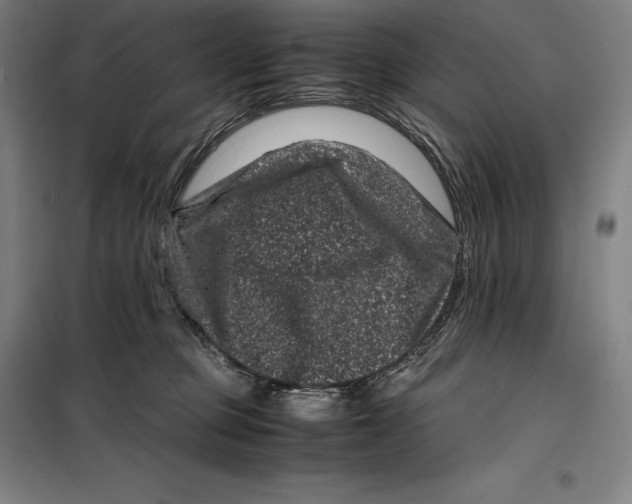 X0000099470373200805301601