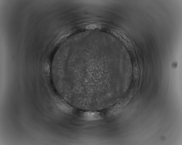 X0000099470375200805301601