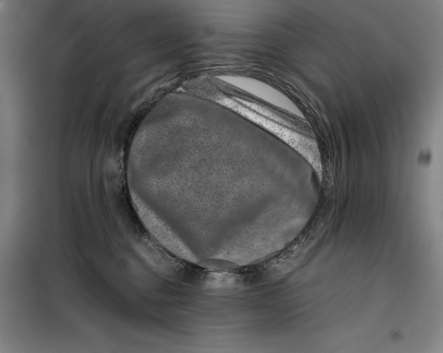 X0000099470376200805301601