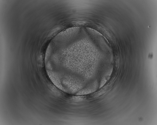 X0000099470378200805301601