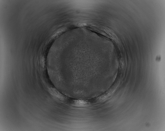 X0000099470380200805301601