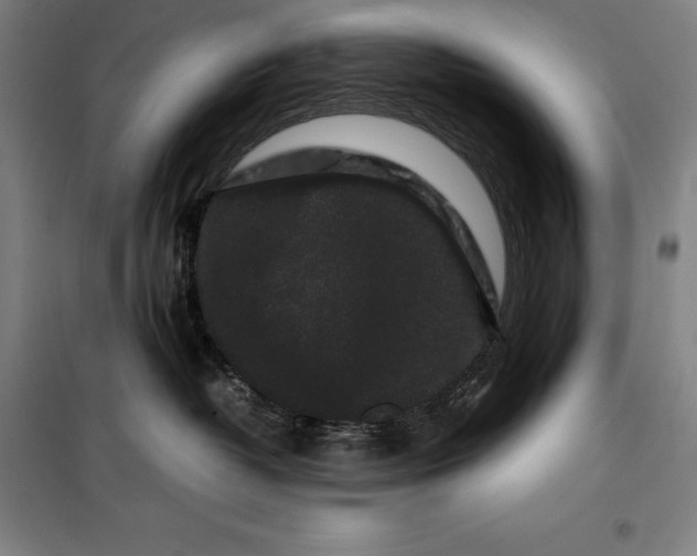 X0000099470382200805301601