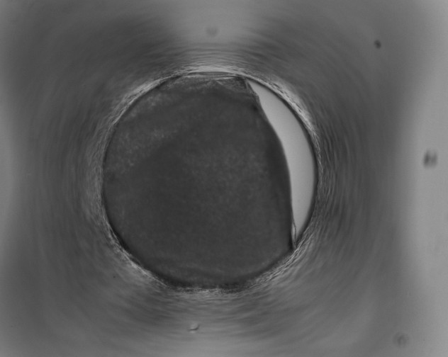 X0000099470385200805301601