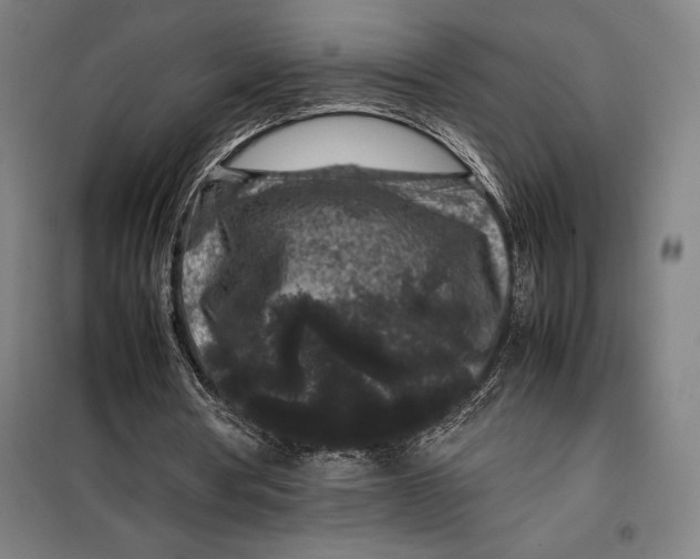 X0000099470386200805301601