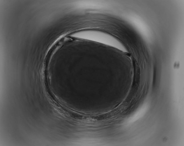 X0000099470387200805301601