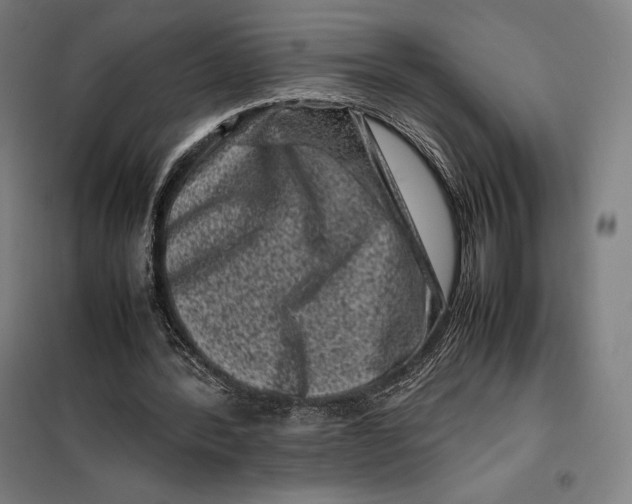 X0000099470388200805301601