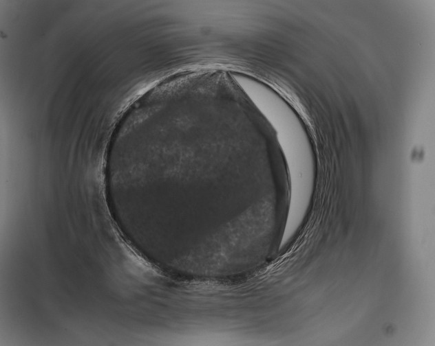 X0000099470389200805301601