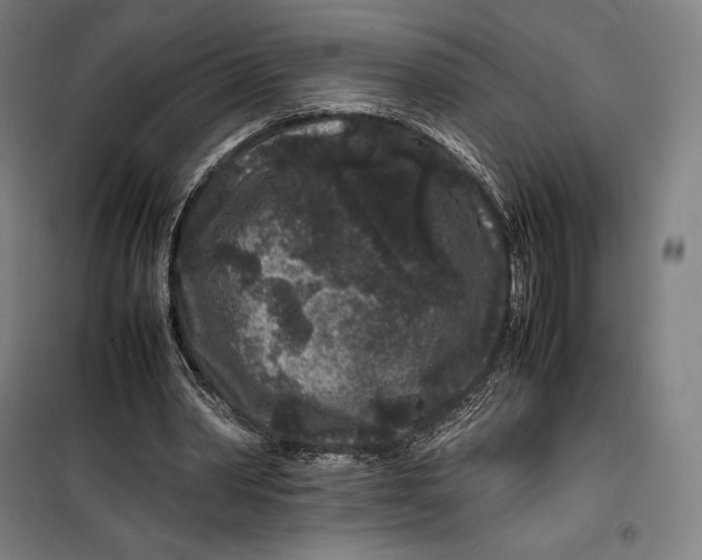 X0000099470390200805301601