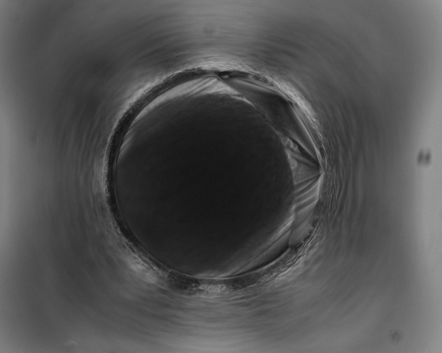 X0000099470391200805301601