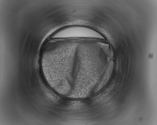 X0000099470392200805301601