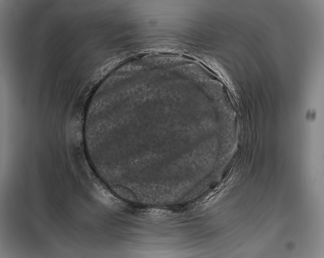 X0000099470393200805301601