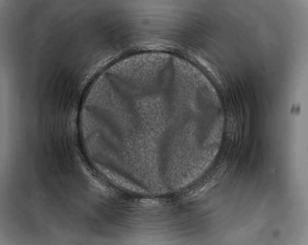 X0000099470394200805301601