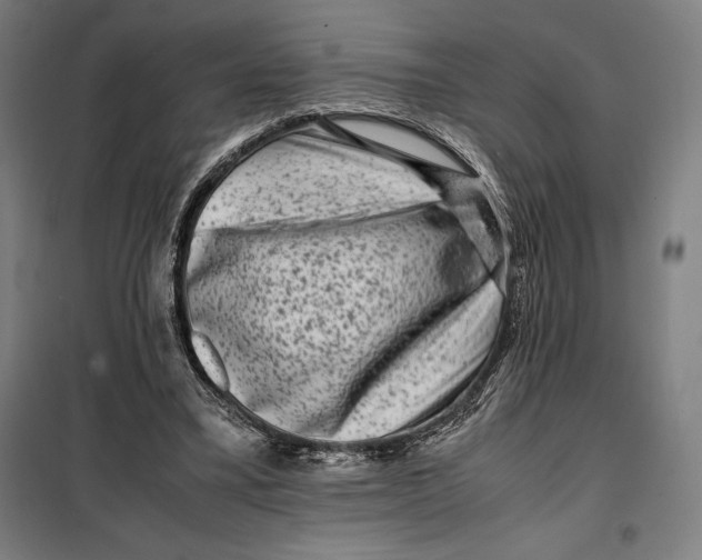 X0000099470395200805301601