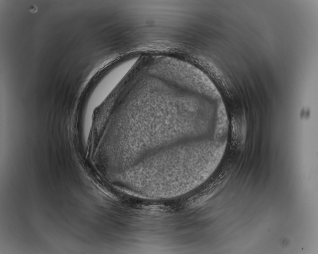 X0000099470396200805301601