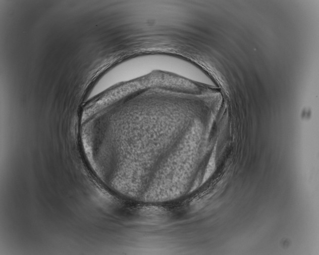 X0000099470397200805301601