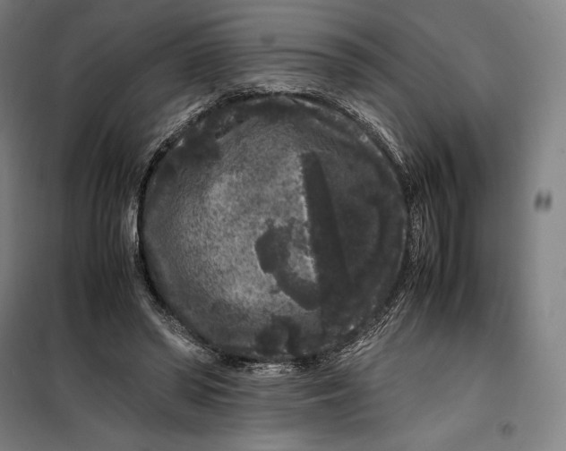 X0000099470398200805301601