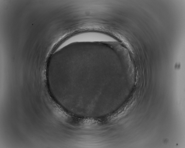 X0000099470399200805301601