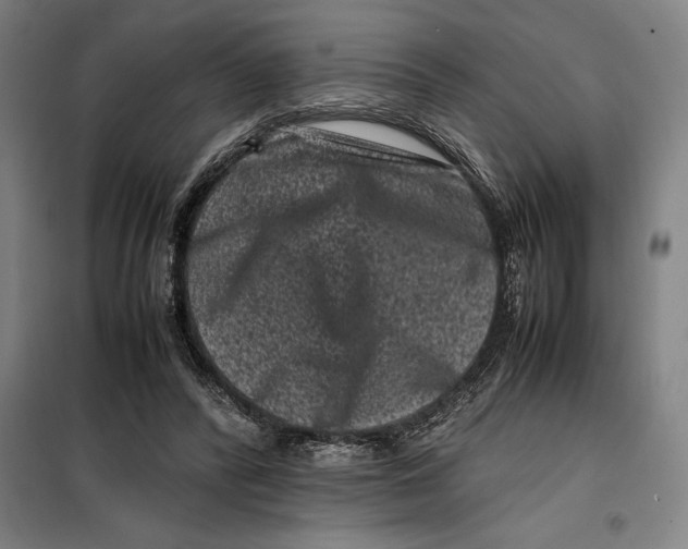 X0000099470400200805301601