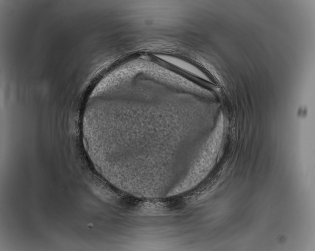 X0000099470403200805301601