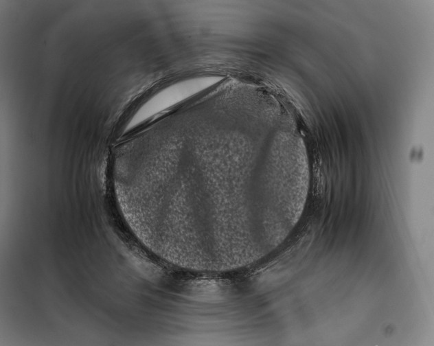 X0000099470404200805301601