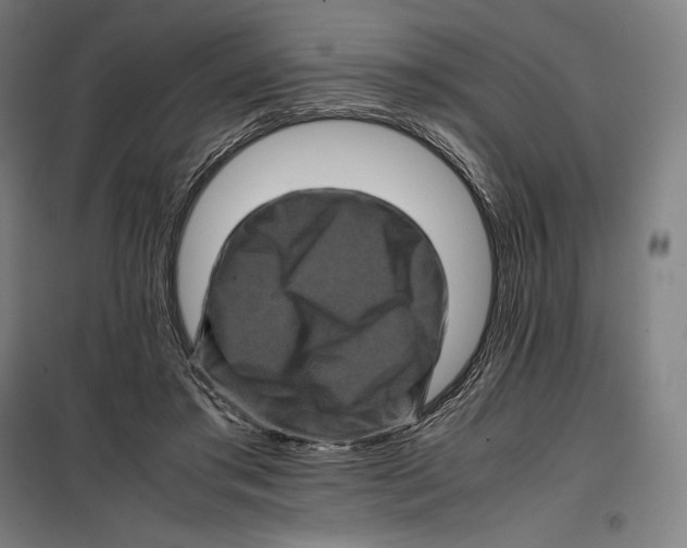 X0000099470405200805301601