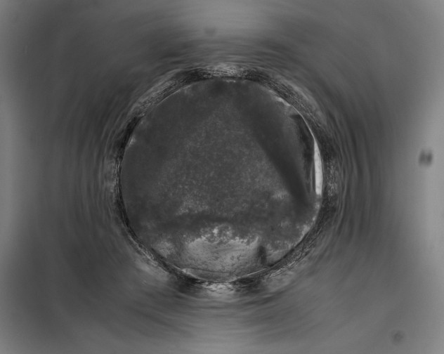 X0000099470409200805301601