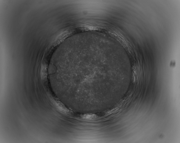 X0000099470410200805301601