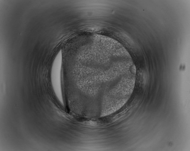 X0000099470412200805301600