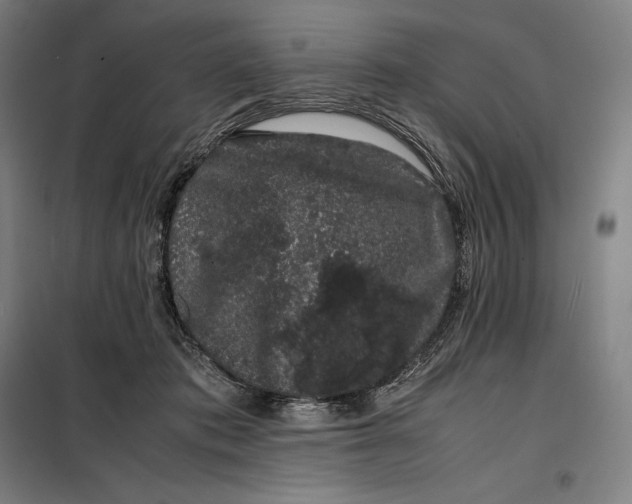 X0000099470413200805301600