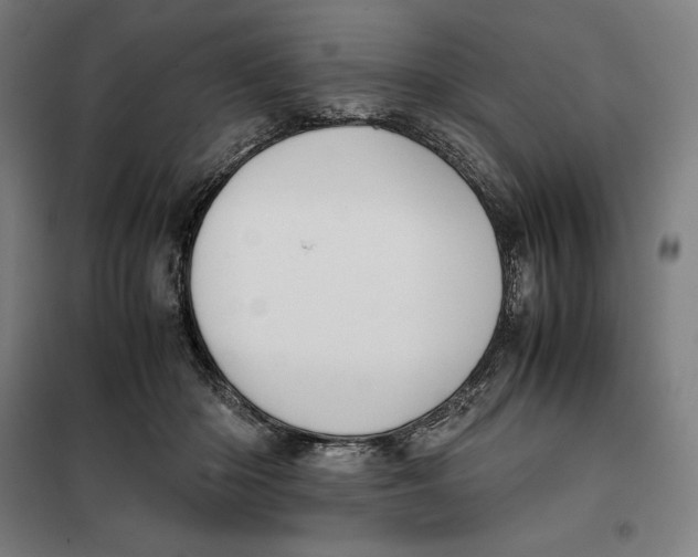 X0000099470414200805301600