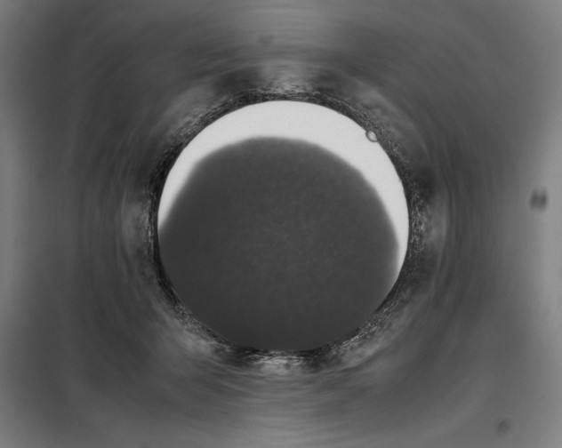 X0000099470415200805301600