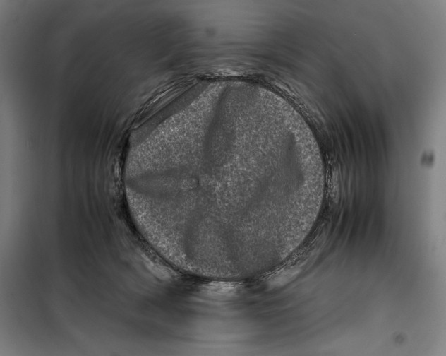 X0000099470418200805301600