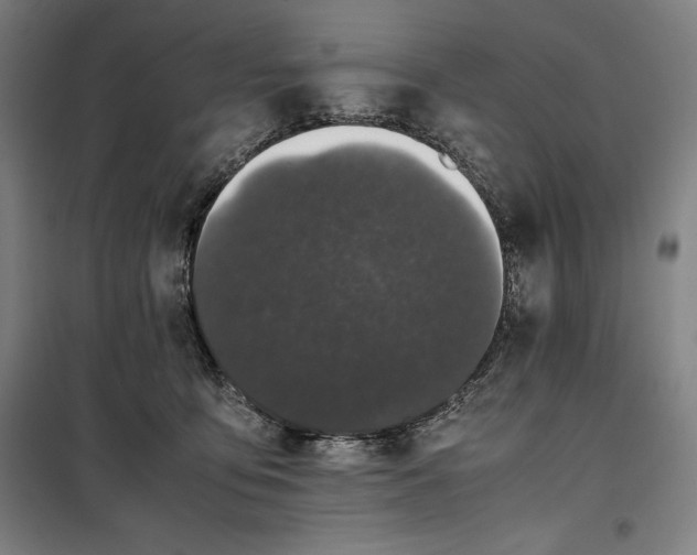 X0000099470419200805301600