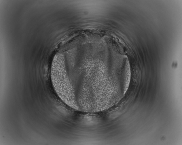 X0000099470420200805301600