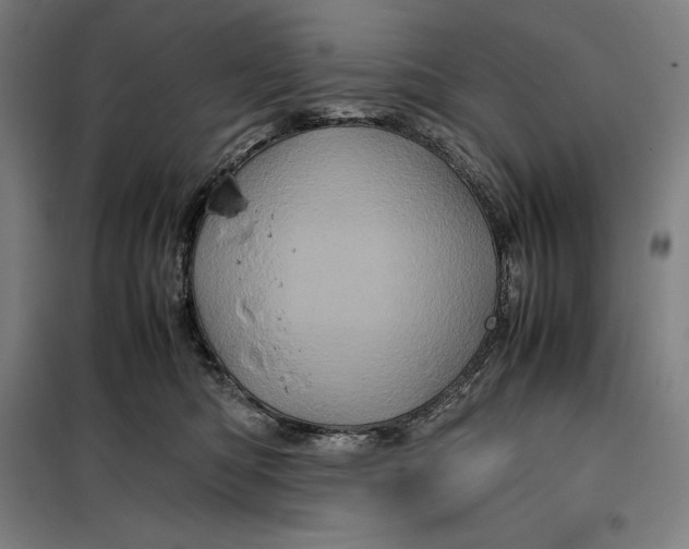 X0000099470422200805301600