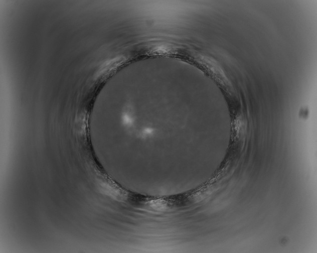 X0000099470423200805301600