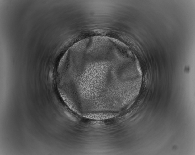 X0000099470424200805301600