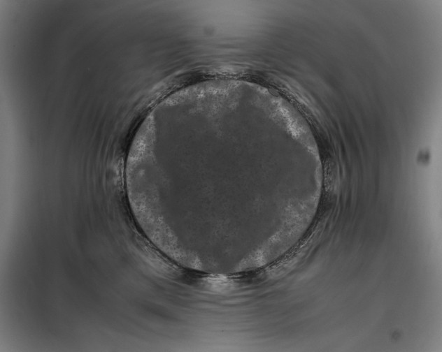 X0000099470425200805301600